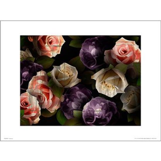PDH01390 Roses dark (40x50)