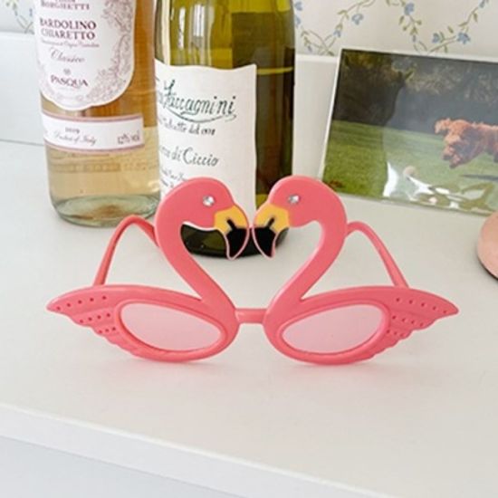 Coral Flamingo Glasses 코랄플라밍고안경