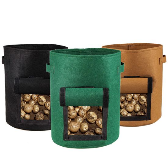 뿌리 식물 고구마 감자 수경 새싹 채소 재배기 화분