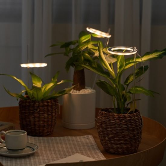 식물 전구 다육이 엔젤링 LED 무드등 성장조명