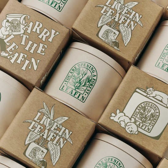 [리핀] LEAFIN 공기정화 실내 고체 탈취제 300g