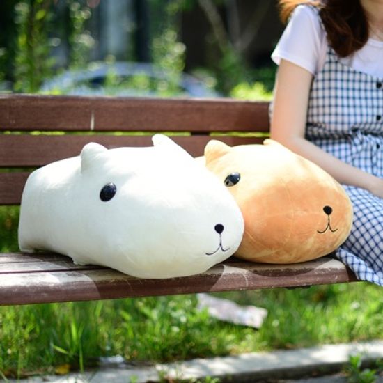 국내 캐릭터 카피바라상 정품 봉제 쿠션