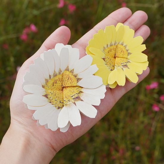 마가렛 편지지 (4colors)