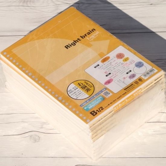 문과생을위한 B5-100매×10권/팩 3mm 라인 루스리프 내지..나카바야시 26공 바인더노트 리필 속지-Right brain HB-21s
