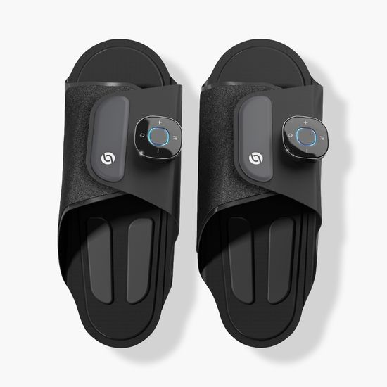 [혼바디] 라이니슈