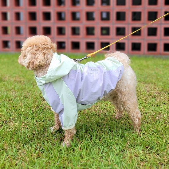 레토 강아지옷 우비 바람막이 애견의류 LDR-A02