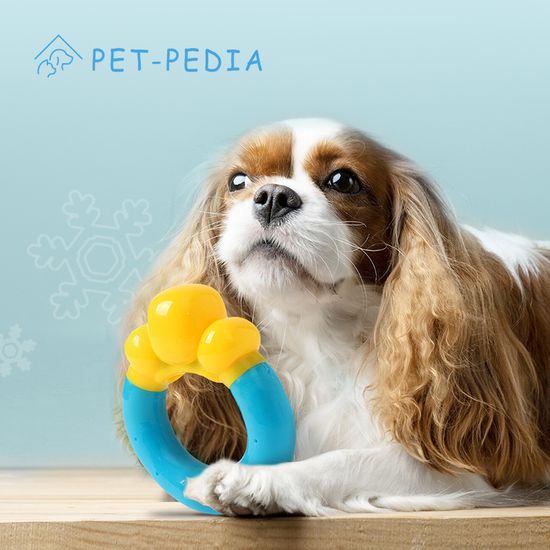 [펫피디아] 여름 물놀이 아이스 장난감(튜브)