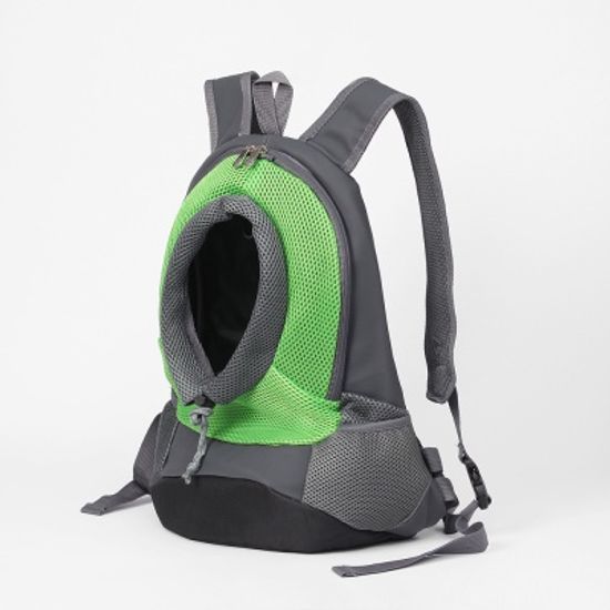 펫라이빙 캥거루 애견 앞가방 고양이 산책 백팩  그린