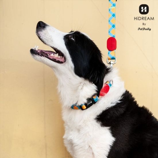 펫데일리 하이드림 유니크 디자인 강아지 리드줄- XS