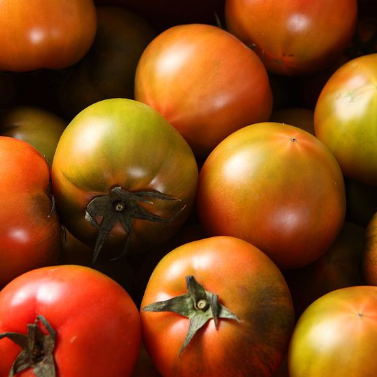 [자연예서] 찰 토마토 5kg (1번)