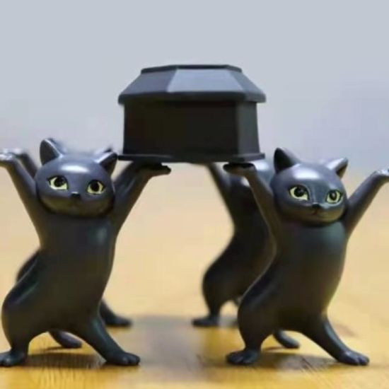 관짝고양이  춤추는 피규어 관짝댄스  관짝 포함