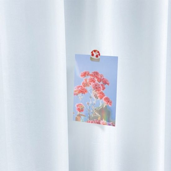 오늘의꽃 엽서 12종 세트