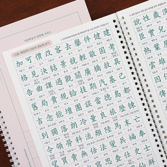 한자를 쓰다 (5급) 한자 노트 (어른 학습지①)