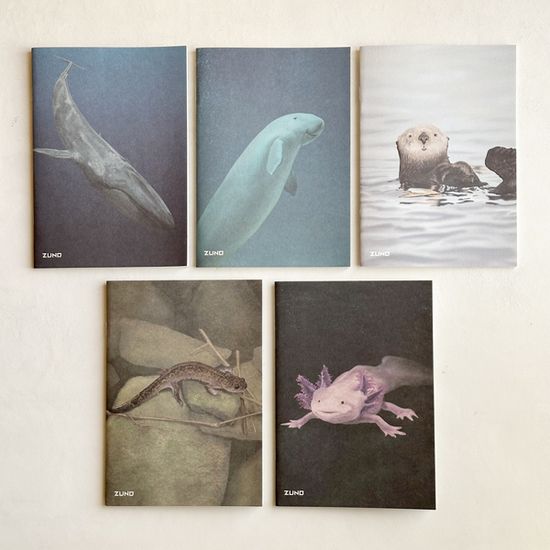 쥬노 신학기 디자인노트 5종 set_Blue