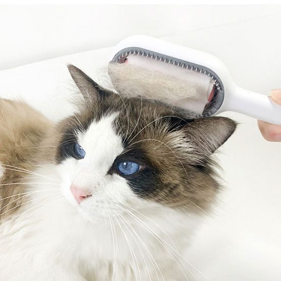 예홈펫 강아지 고양이 애견 목욕 티슈 미용 빗 브러쉬