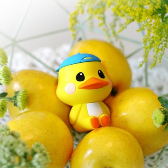 님프런 디퓨져 오리링