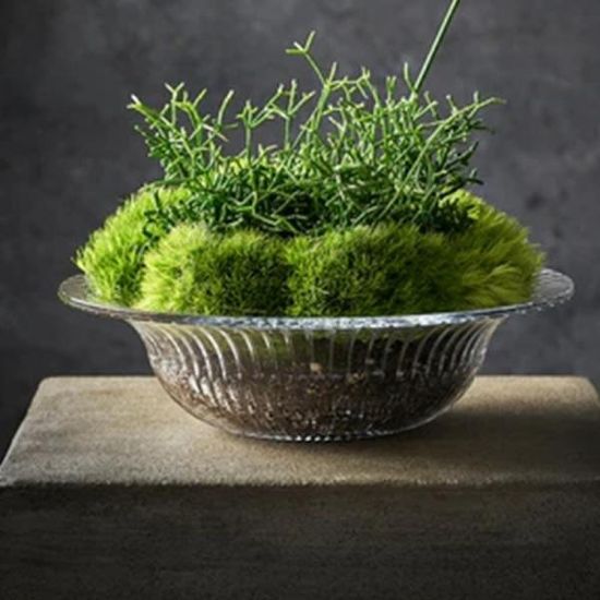 [와인앤쿡]레트로 연회장 유리 샐러드보울 1개