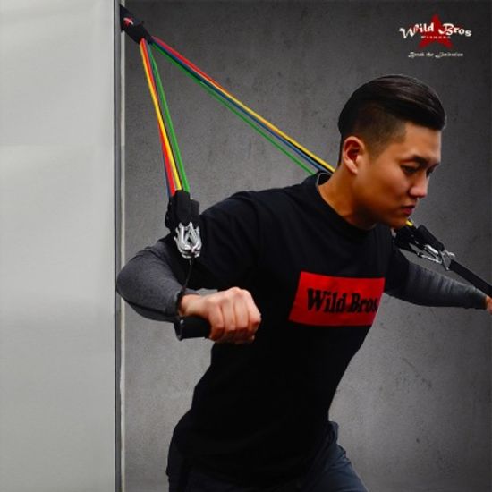와일드브로스 홈트레이닝 튜빙밴드 풀세트