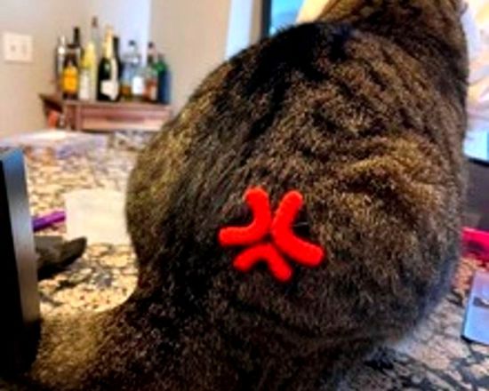 빠직 빡침 땀 머리핀 웃긴 머리핀 미니핀 집게 핀 삔