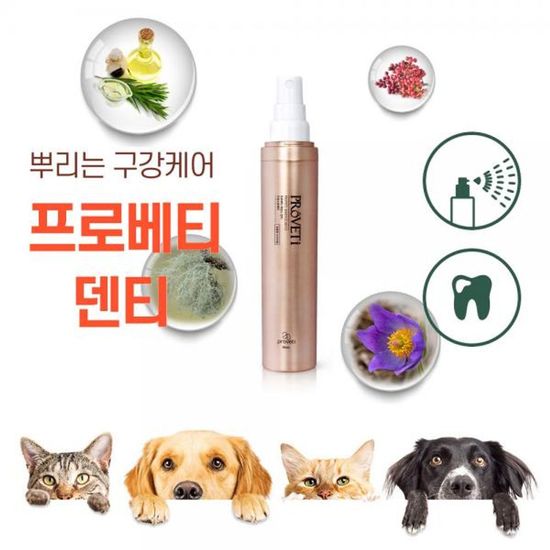 반려동물 입안관리 고양이 간식 치아에센스(WFDC6E2)