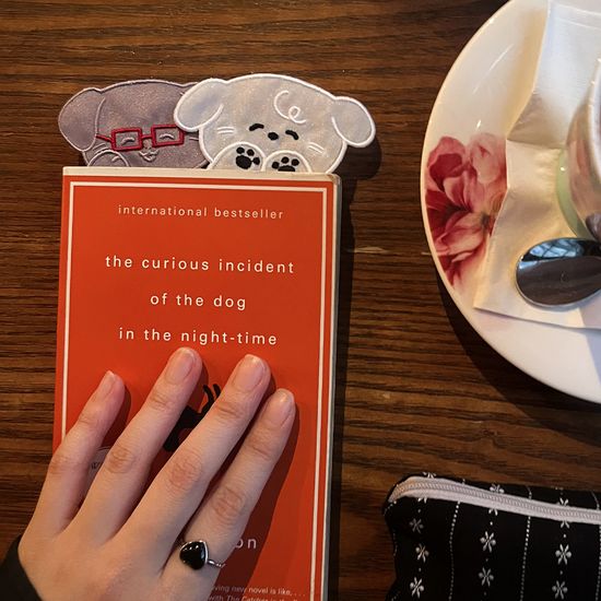 다독가 멍갈피 콩이&뭉치