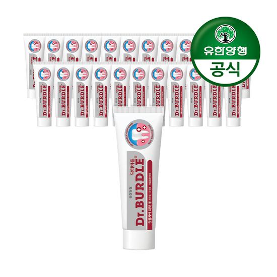 닥터버들 잇몸케어 치약 100g 24개