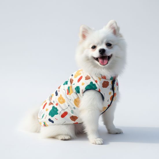 레토 초경량 강아지 패딩 후리스 양면형 LDC-C01P