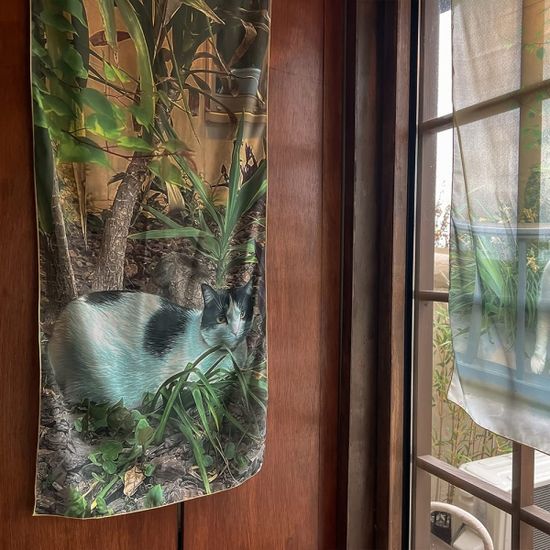 고양이의 정원 45x135 쉬폰 패브릭포스터