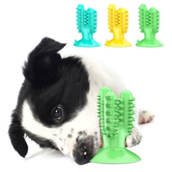 강아지 치석제거 토이스틱 덴탈케어스틱 애견장난감