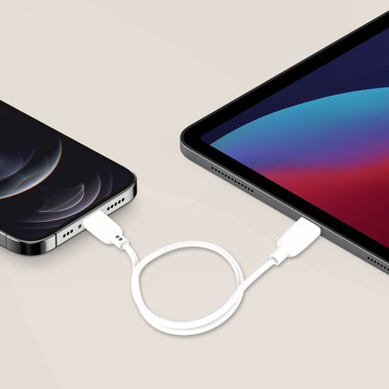 디지털벤투스 CtoC PD 65W 고속충전케이블 2m