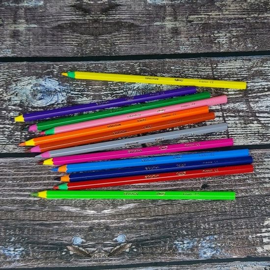 빅 키즈 컬러링 Evolution CIRCUS 12색 색연필+필통