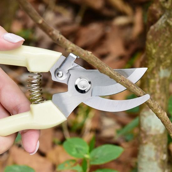 원예 꽃 전정 다용도 전지가위(WC5BE62)