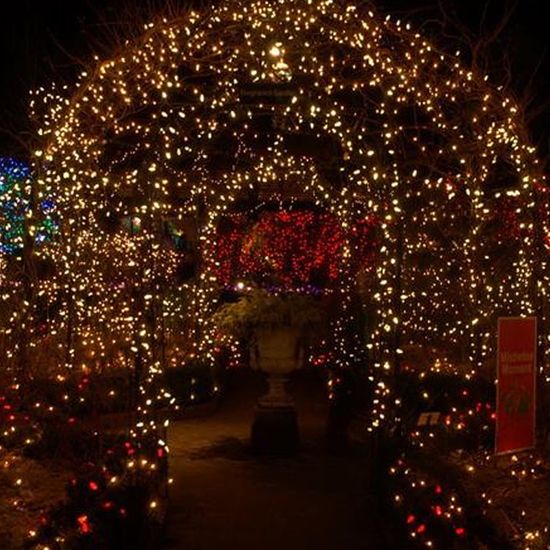 [도토로]은하수 100구 투명선 LED 웜색 지니전구(10M)