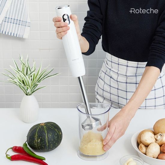 로테체 무선 핸드블렌더 (블랙)