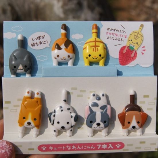 토루네 물구나무 강아지픽