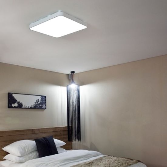 LED 모노 시스템 방등 50W