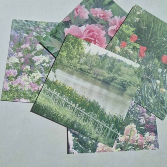 spring garden 엽서세트