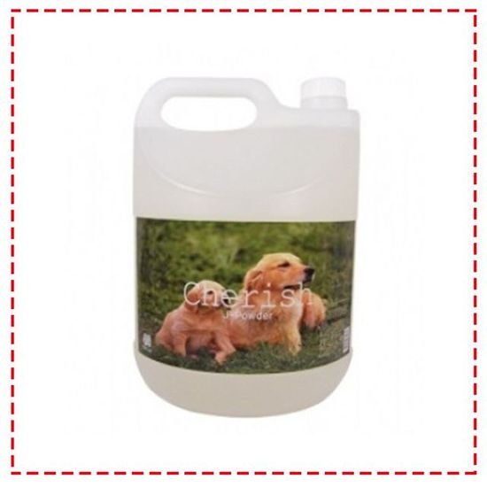 체리쉬 대용량 탈취제 4L - 파우더향(W48F23B)