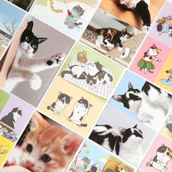 뽀짜툰 라벨스티커