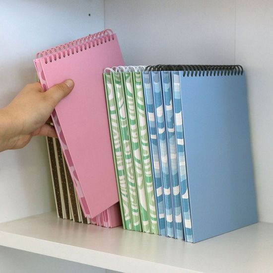 라로 트윈링 노트