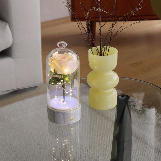 로즈 블랑돔 LED 무드등-Rose Blanc Dome led lights