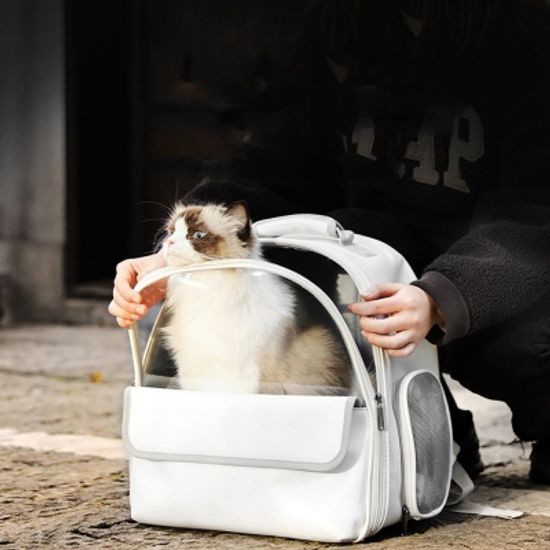 강아지 이동 가방 고양이 이동장 산책 백팩 케이지