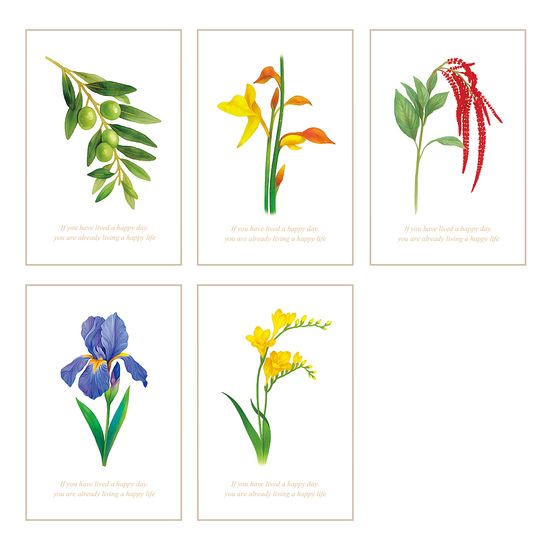 풀꽃일기 감사카드