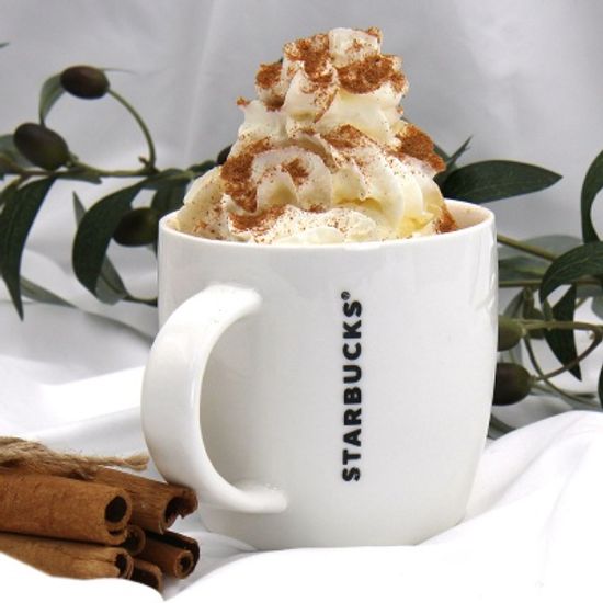 STARBUCKS 스타벅스 아이코닉 머그컵 414ml