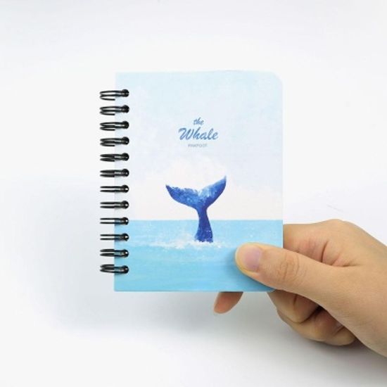 핑크풋 고래합지수첩