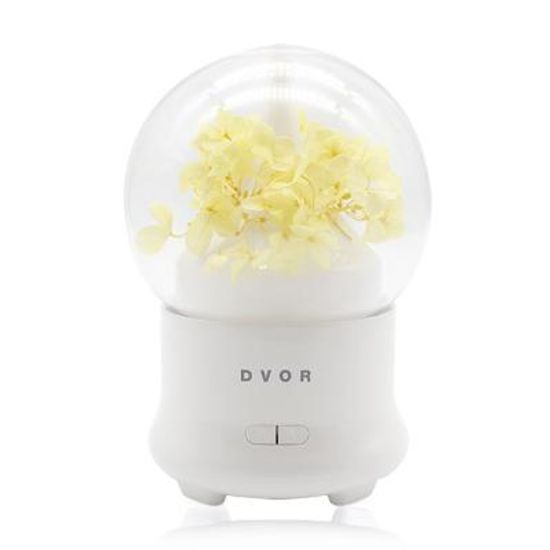 드보르 JD-F50 초음파가습기 옐로우 벚꽃 미니가습기