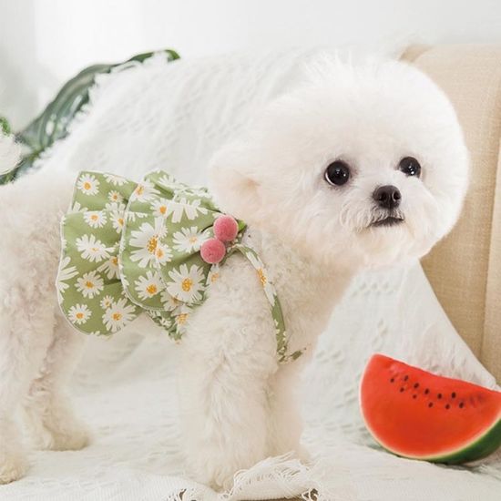 강아지 고양이 하와이안 체리 여름 레이스 원피스