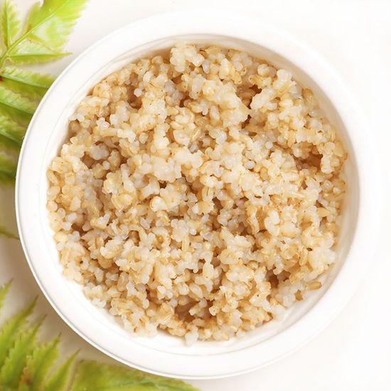 빼빼곤약 발효곤약쌀눈밥 150g x 20팩