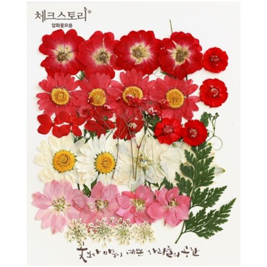 [압화 꽃모음 - B타입] 진실한마가렛 꽃모음