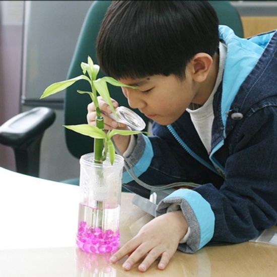 [KC인증] 아이루페 미니돋보기(3배율)